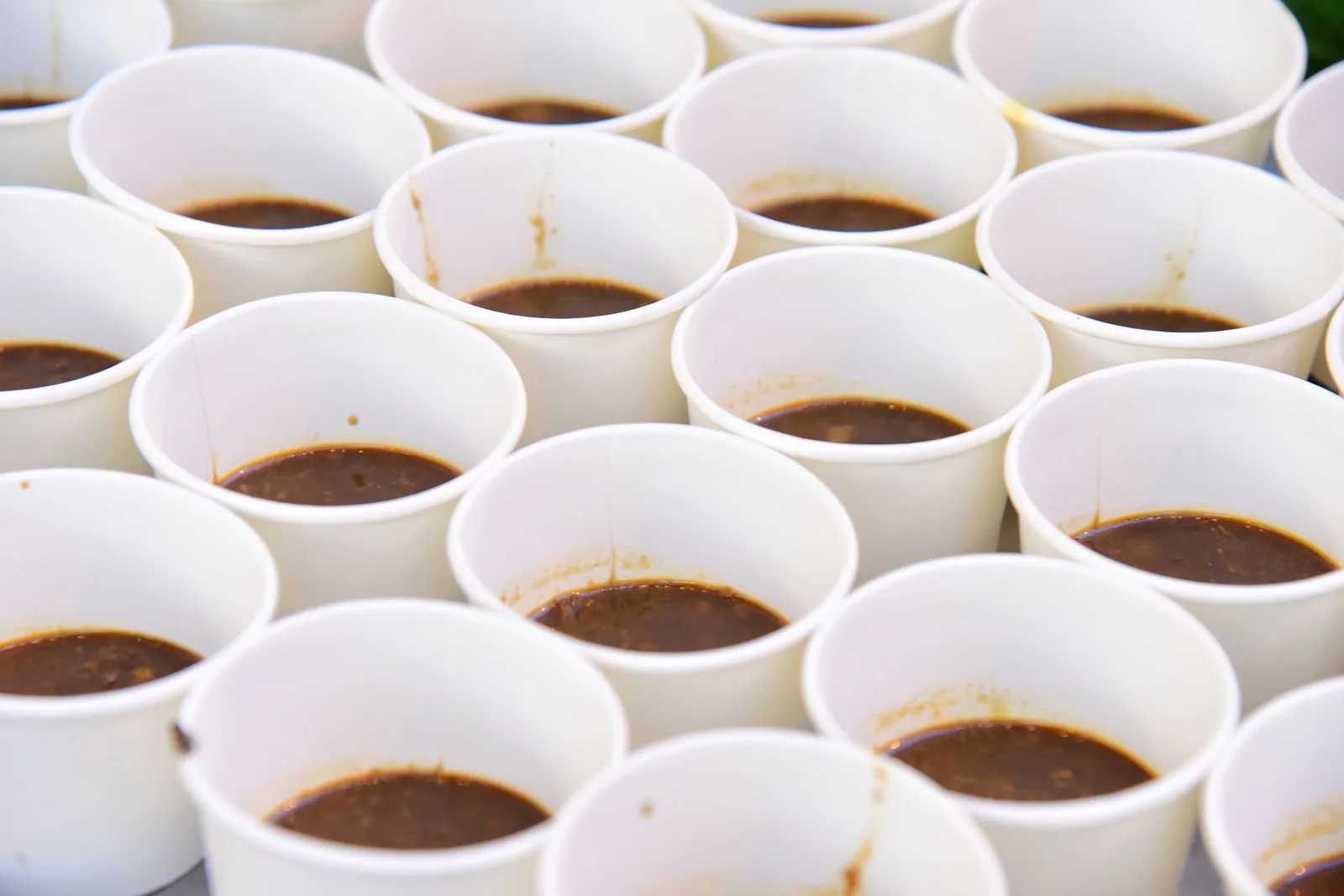 Rows of cupping cups filled with coffee on a table