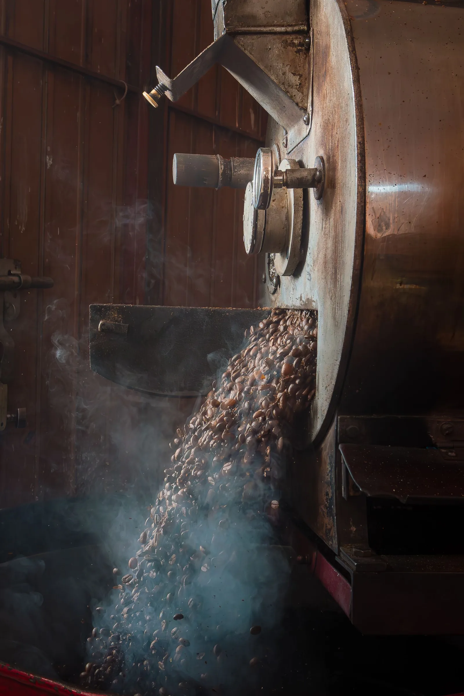 Freshly roasted coffee beans pouring from the roaster into the cooling tray